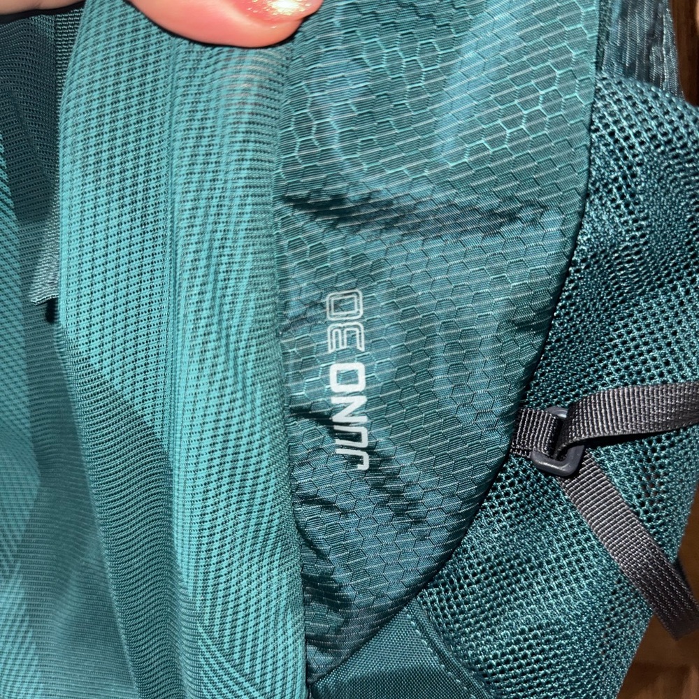 Gregory Juno 30 Backpack in the color Emerald Green - Picture 2 of 13